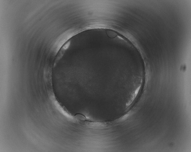 X0000111581337200908271026