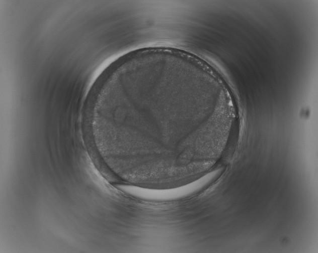 X0000111581340200908271027