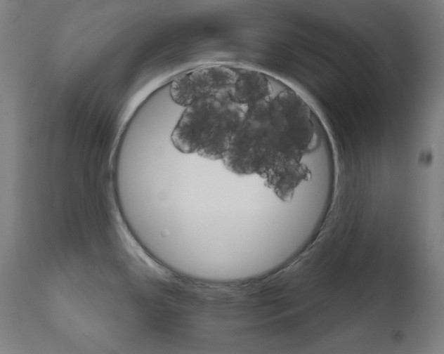 X0000111581341200908271027