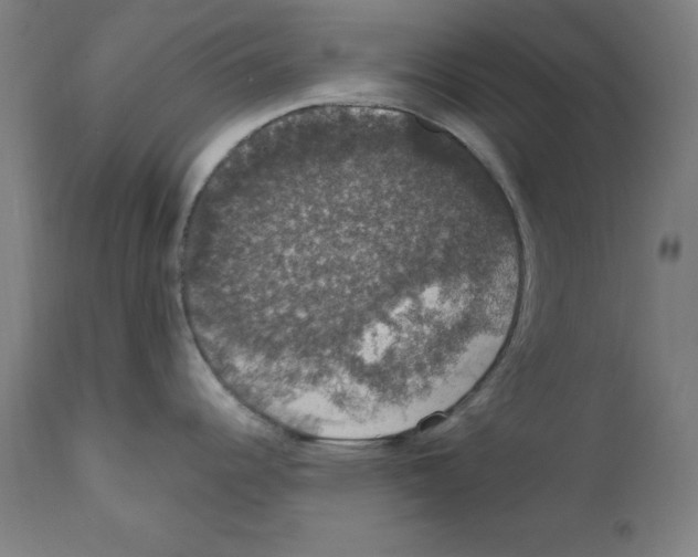 X0000111581344200908271027