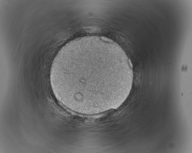 X0000111581345200908271026