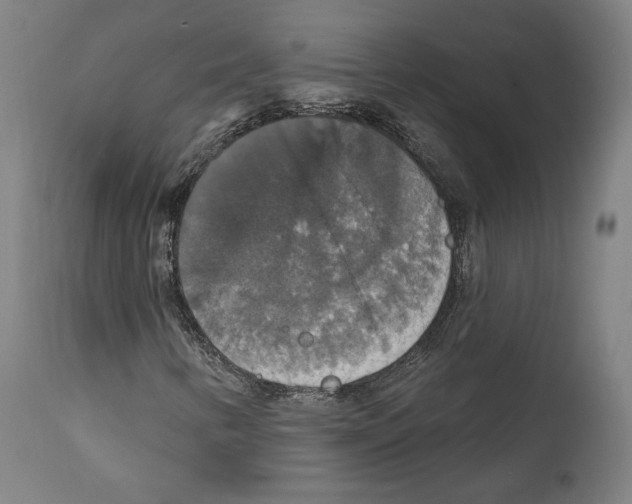 X0000111581346200908271026