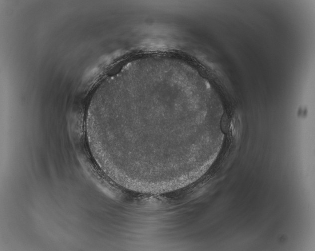 X0000111581348200908271026