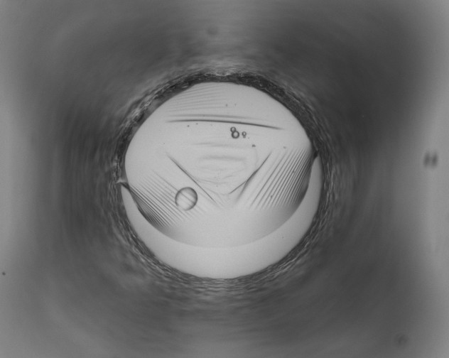 X0000111581349200908271026