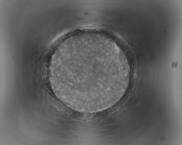 X0000111581350200908271026