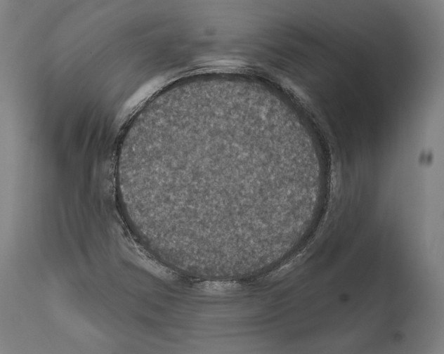 X0000111581354200908271026