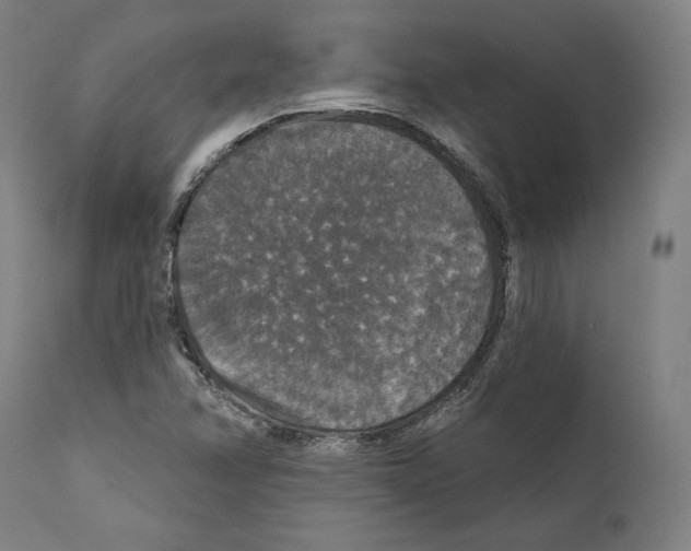 X0000111581358200908271026