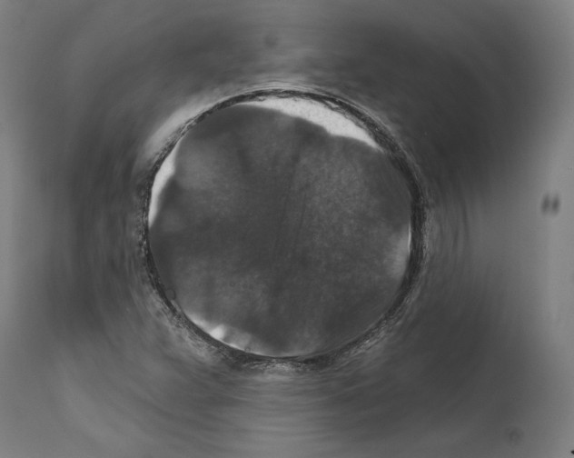 X0000111581359200908271026