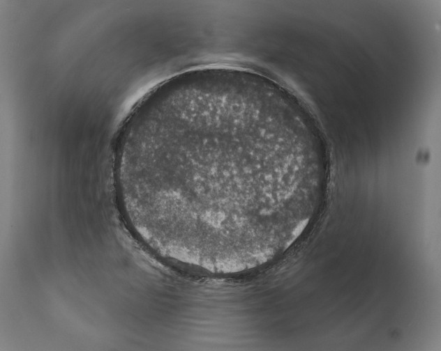 X0000111581360200908271026