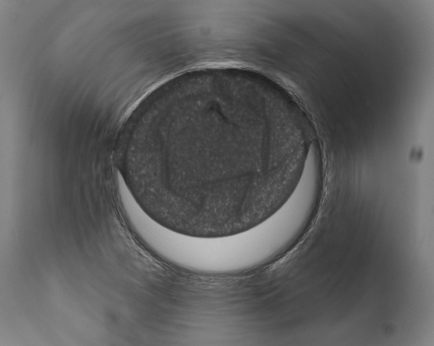 X0000111581361200908271026