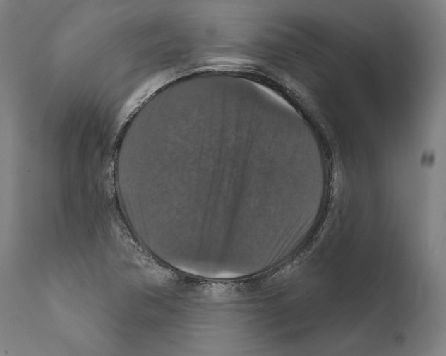 X0000111581362200908271026