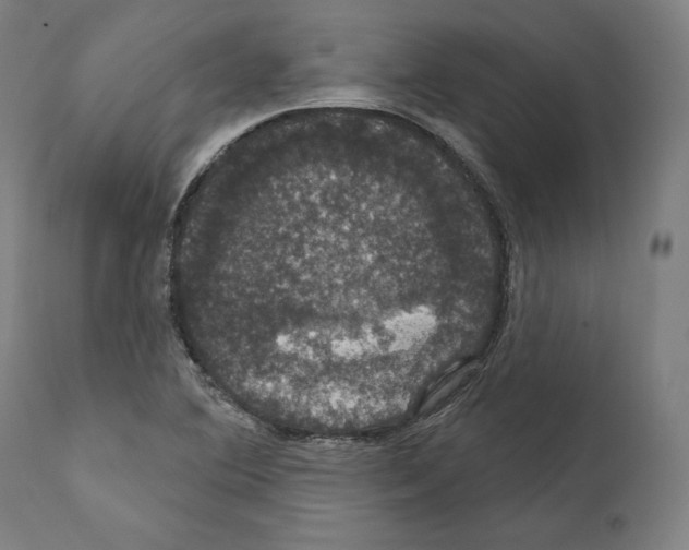 X0000111581364200908271026