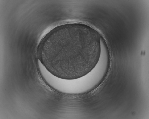 X0000111581365200908271026