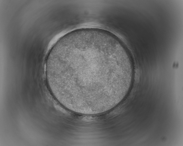 X0000111581366200908271025