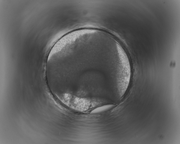 X0000111581367200908271025