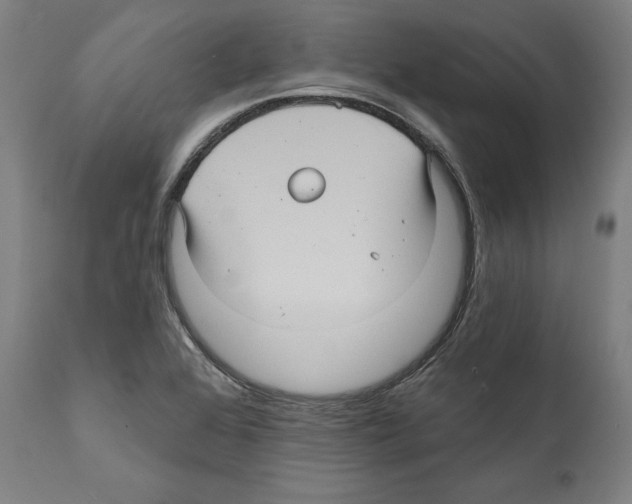 X0000111581368200908271025