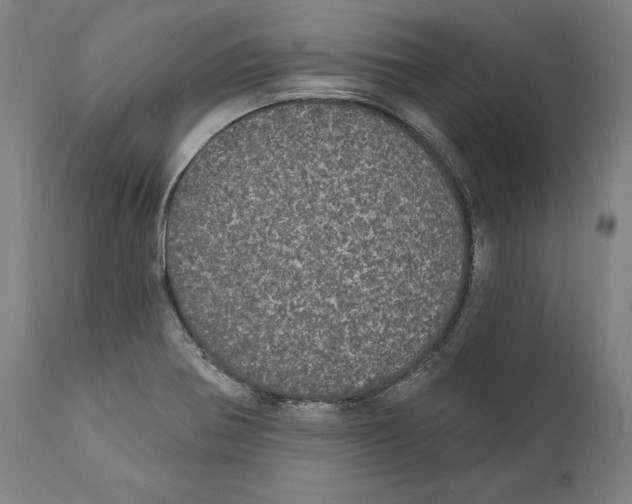 X0000111581370200908271025