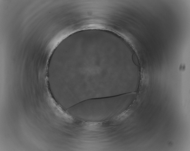 X0000111581373200908271025