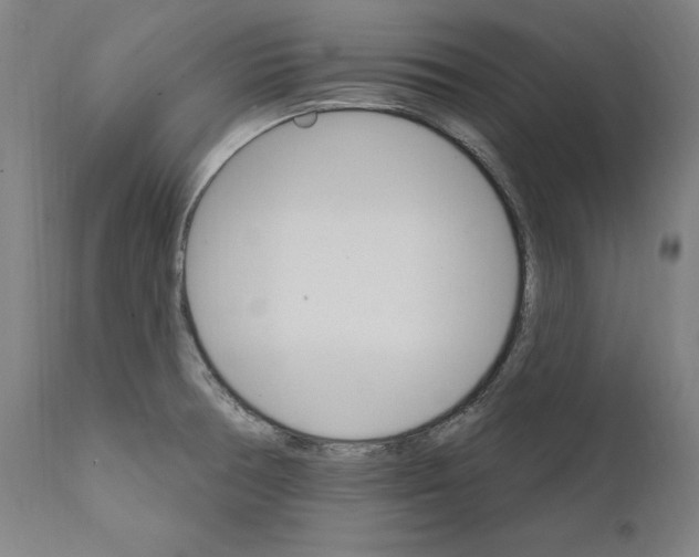 X0000111581378200908271025