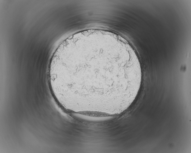 X0000111581379200908271025