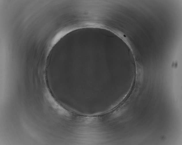 X0000111581381200908271025