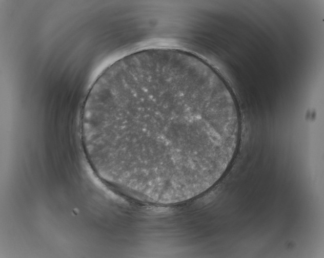 X0000111581382200908271025