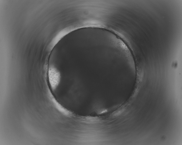 X0000111581383200908271025