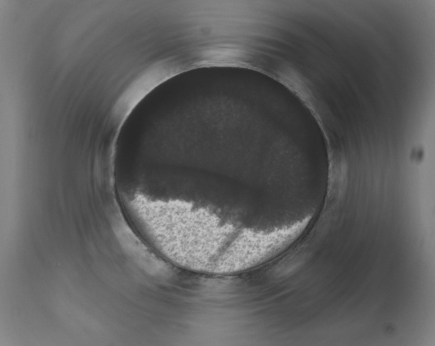 X0000111581386200908271025