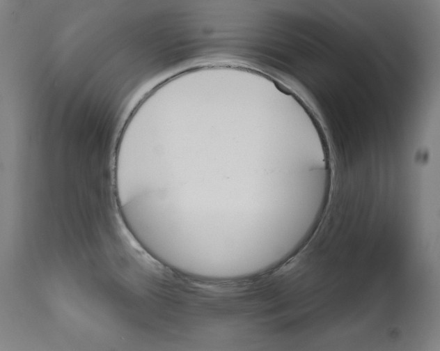 X0000111581388200908271025