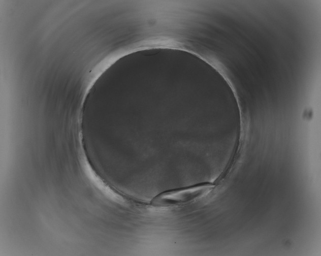 X0000111581389200908271025