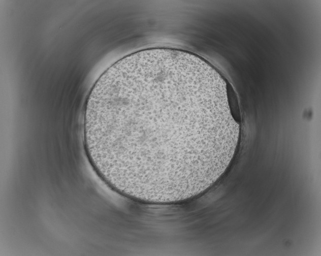 X0000111581391200908271025