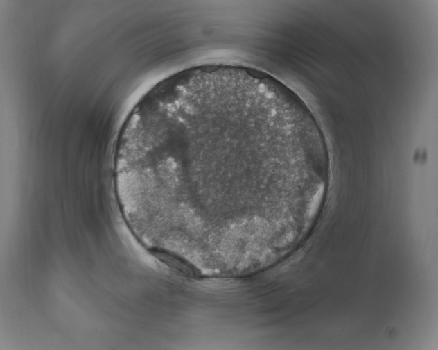 X0000111581392200908271025