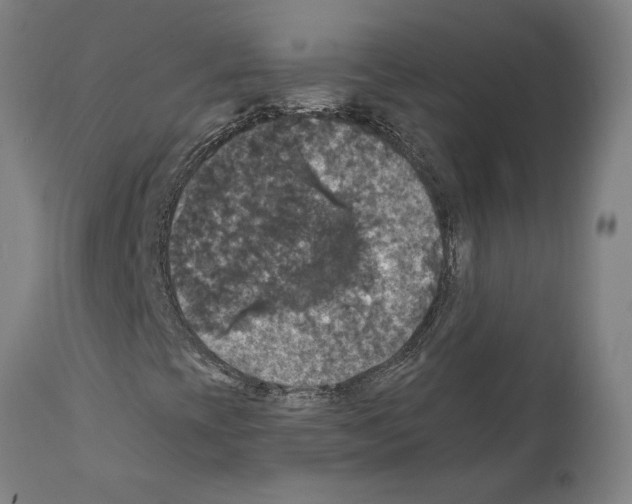 X0000111581393200908271024