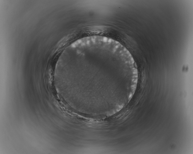 X0000111581394200908271024