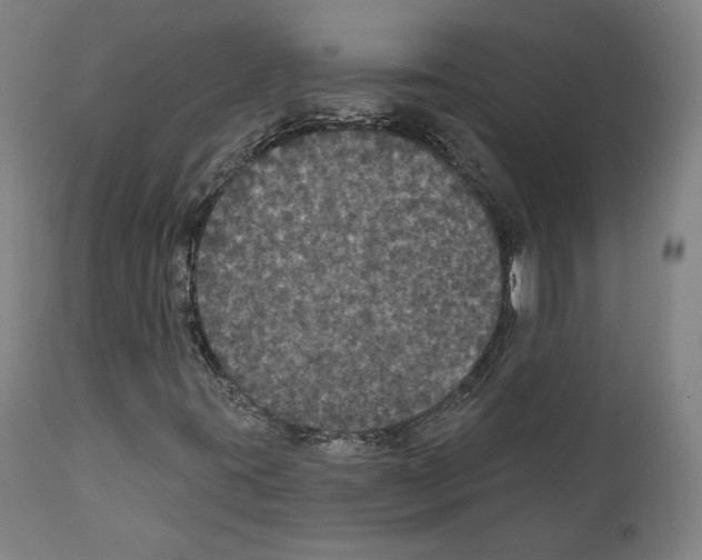 X0000111581395200908271024