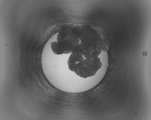 X0000111581396200908271024