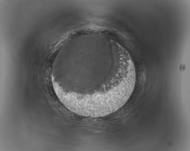 X0000111581397200908271024