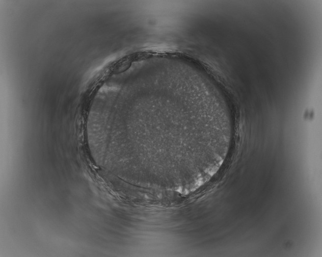 X0000111581398200908271024