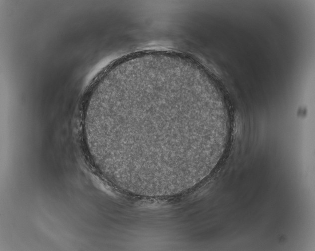 X0000111581400200908271024