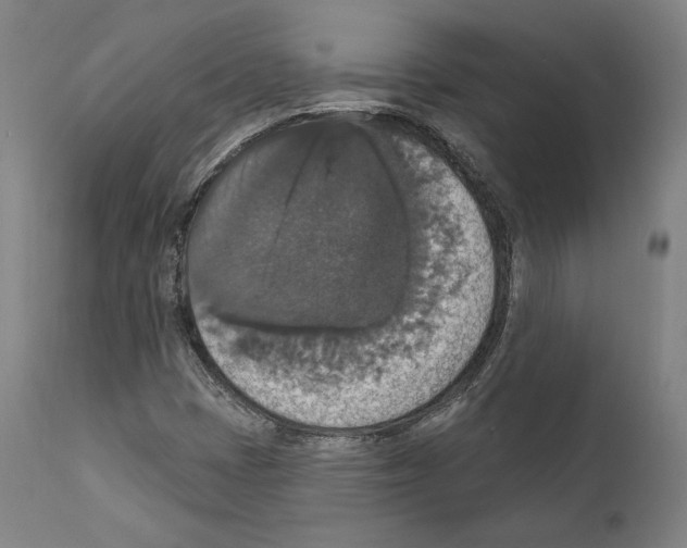 X0000111581401200908271024