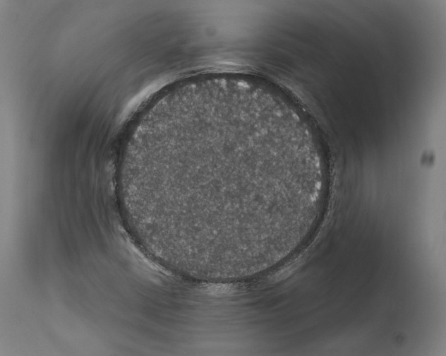 X0000111581402200908271024