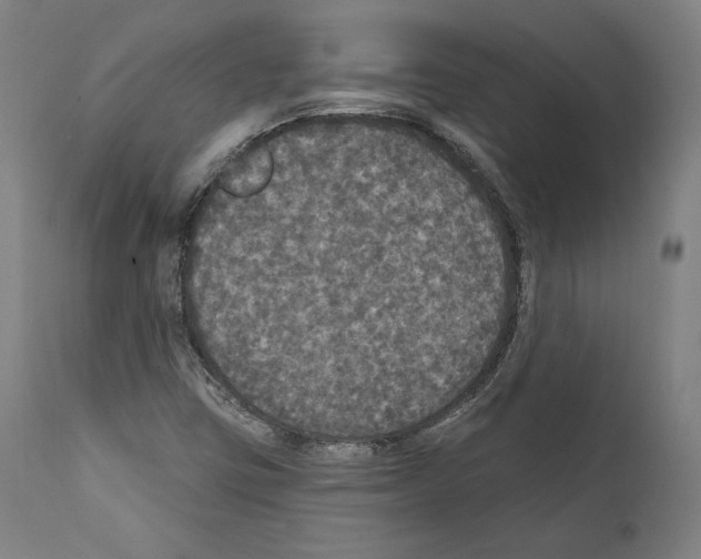 X0000111581403200908271024