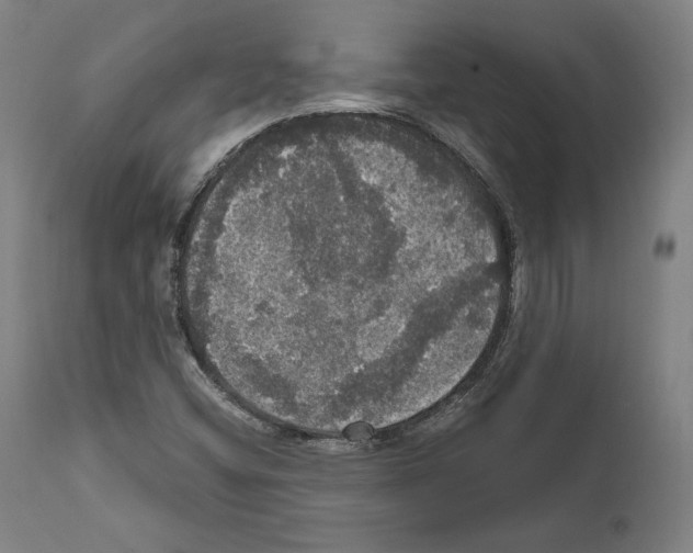 X0000111581404200908271024