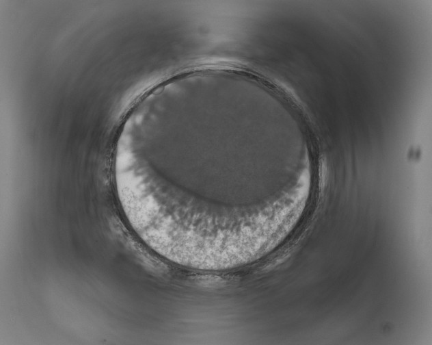 X0000111581405200908271024