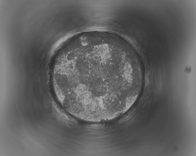 X0000111581406200908271024