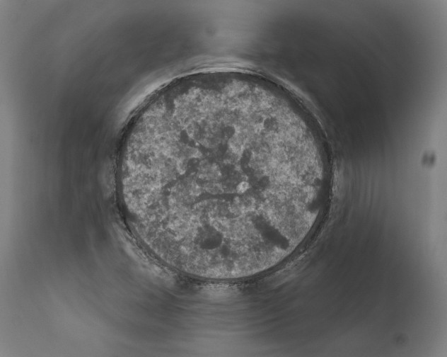 X0000111581407200908271024