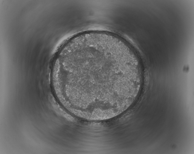 X0000111581408200908271024