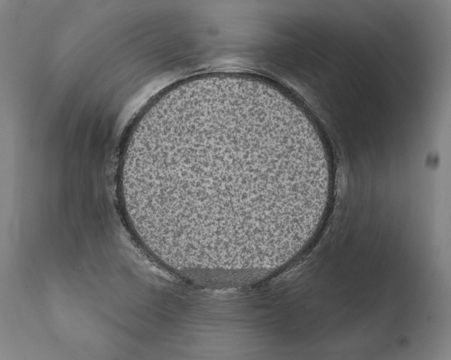 X0000111581410200908271024