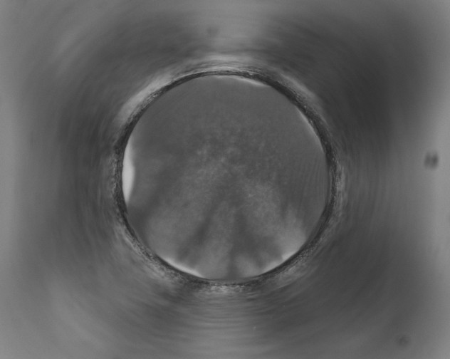 X0000111581411200908271025