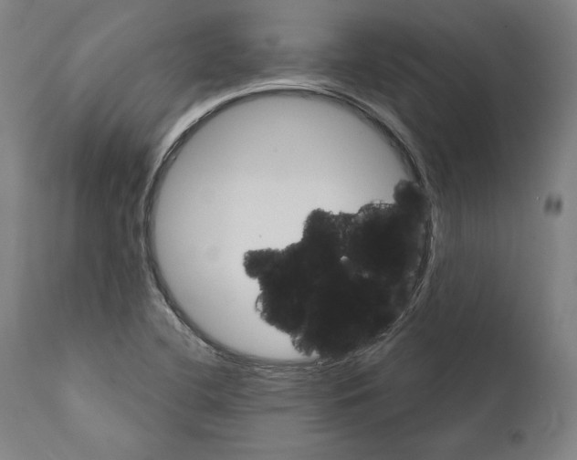 X0000111581412200908271025